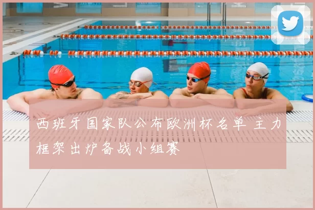 西班牙国家队公布欧洲杯名单 主力框架出炉备战小组赛