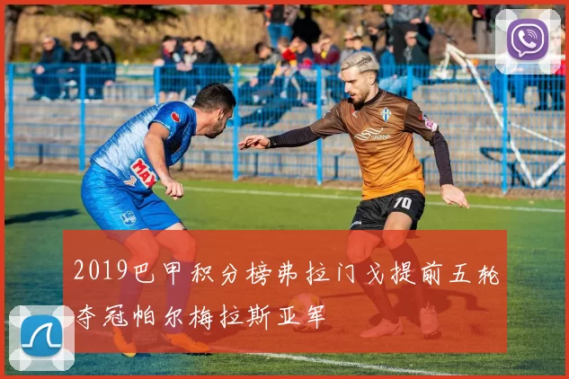 2019巴甲积分榜弗拉门戈提前五轮夺冠帕尔梅拉斯亚军