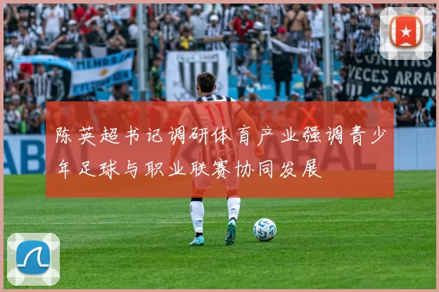 陈英超书记调研体育产业强调青少年足球与职业联赛协同发展