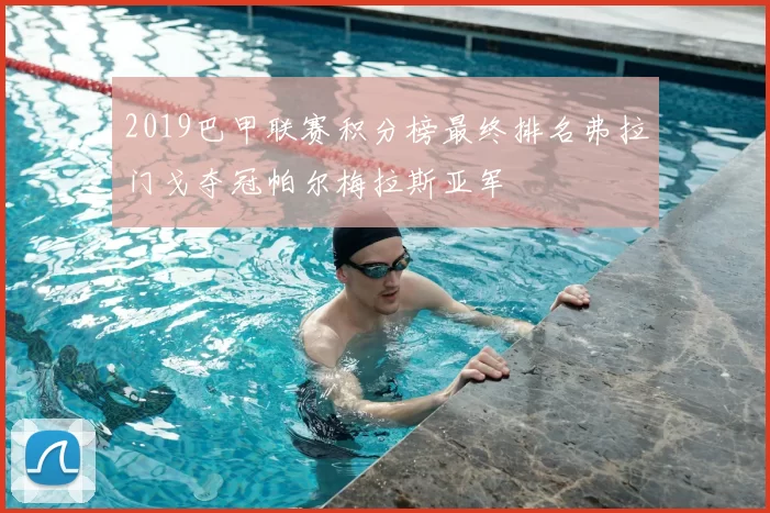 2019巴甲联赛积分榜最终排名弗拉门戈夺冠帕尔梅拉斯亚军