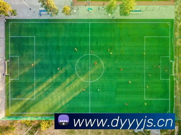 开云(中国)Kaiyun·官方网站 - 登录入口APP 封面图